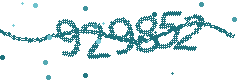 Image with the verification code