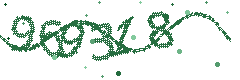 Image with the verification code