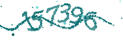 Image with the verification code