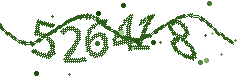 Image with the verification code