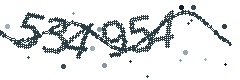Security verification code