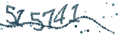 Security verification code