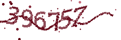 Security verification code
