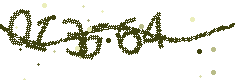 Image with the verification code