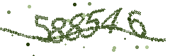 Image with the verification code