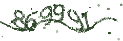 Image with the verification code