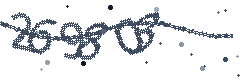 Security verification code