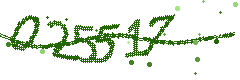 Security verification code