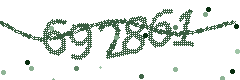 Image with the verification code