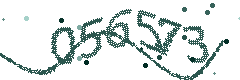 Security verification code