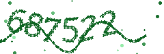 Security verification code