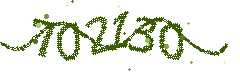Image with the verification code