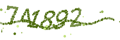 Image with the verification code