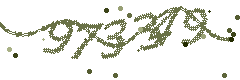 Security verification code