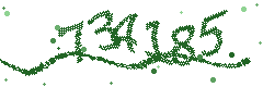 Image with the verification code