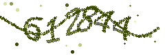 Image with the verification code