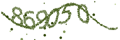 Security verification code