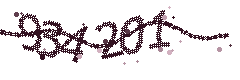 Image with the verification code