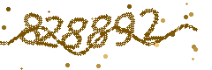 Image with the verification code