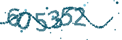 Security verification code