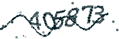 Security verification code