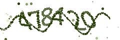 Image with the verification code