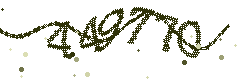 Image with the verification code