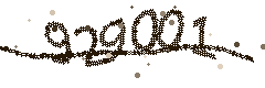 Image with the verification code