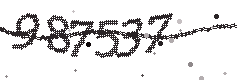 Image with the verification code