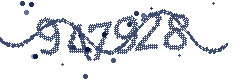 Security verification code