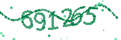 Security verification code