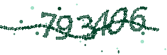 Security verification code