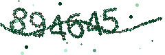 Image with the verification code