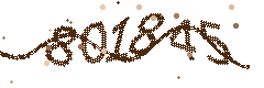 Image with the verification code