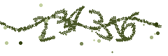 Image with the verification code