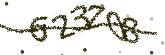 Image with the verification code