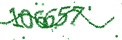 Image with the verification code