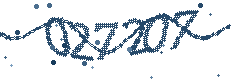 Security verification code