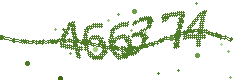 Image with the verification code