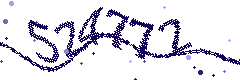 Security verification code