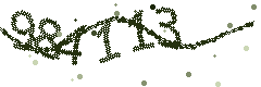 Image with the verification code