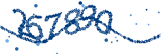 Image with the verification code