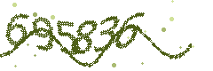 Image with the verification code