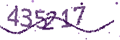 Image with the verification code
