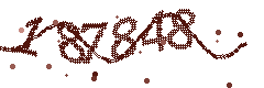 Image with the verification code