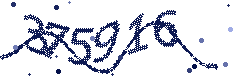 Security verification code