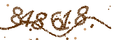 Image with the verification code