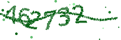 Image with the verification code