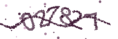 Image with the verification code