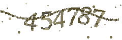 Image with the verification code